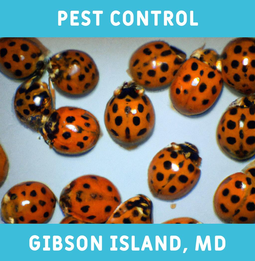 pest control in Gibson Island Maryland