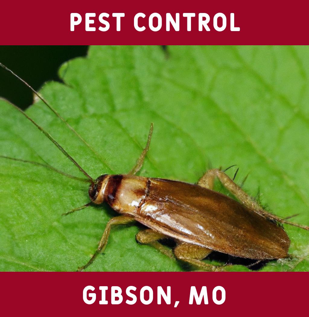 pest control in Gibson Missouri