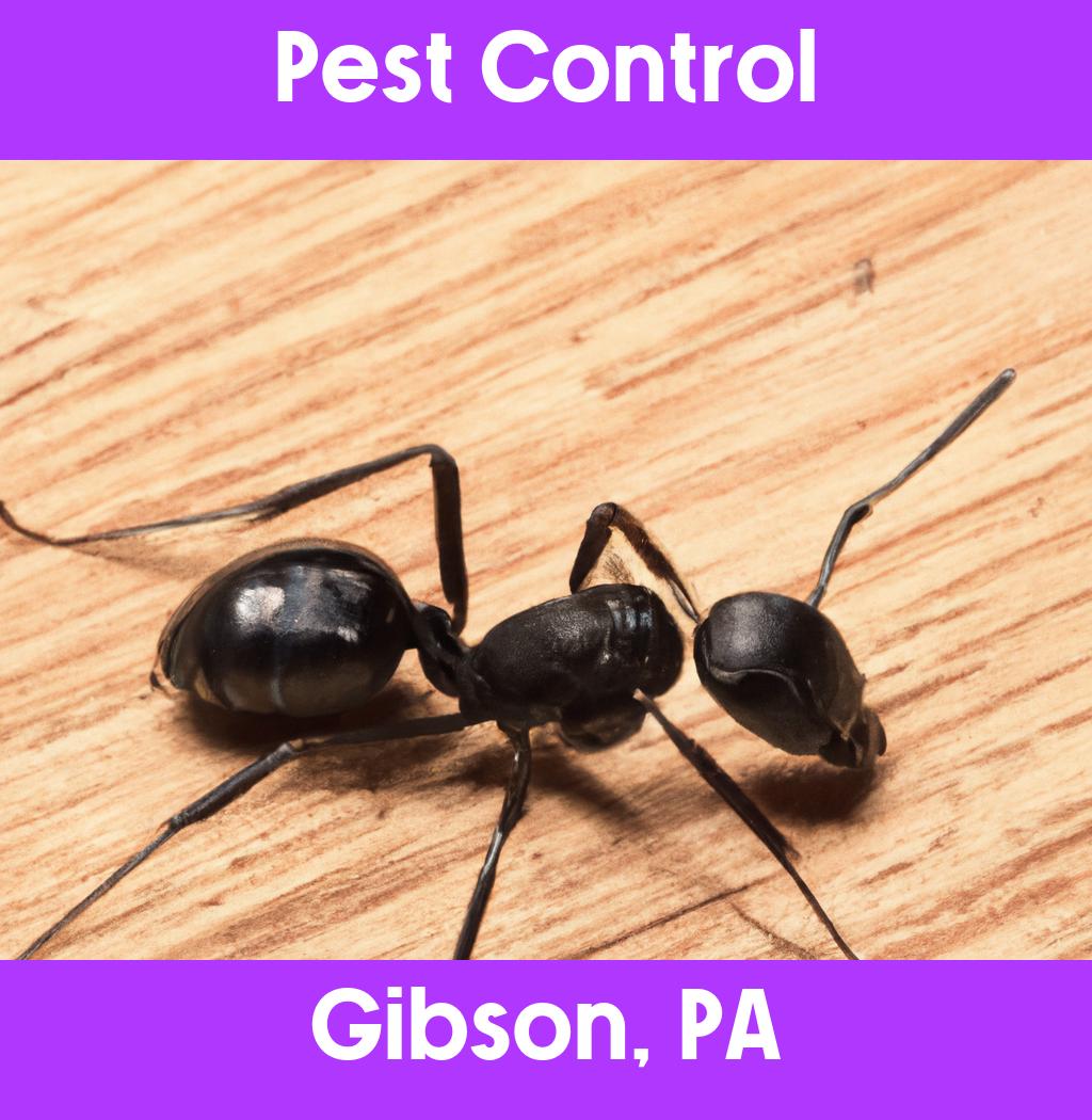 pest control in Gibson Pennsylvania