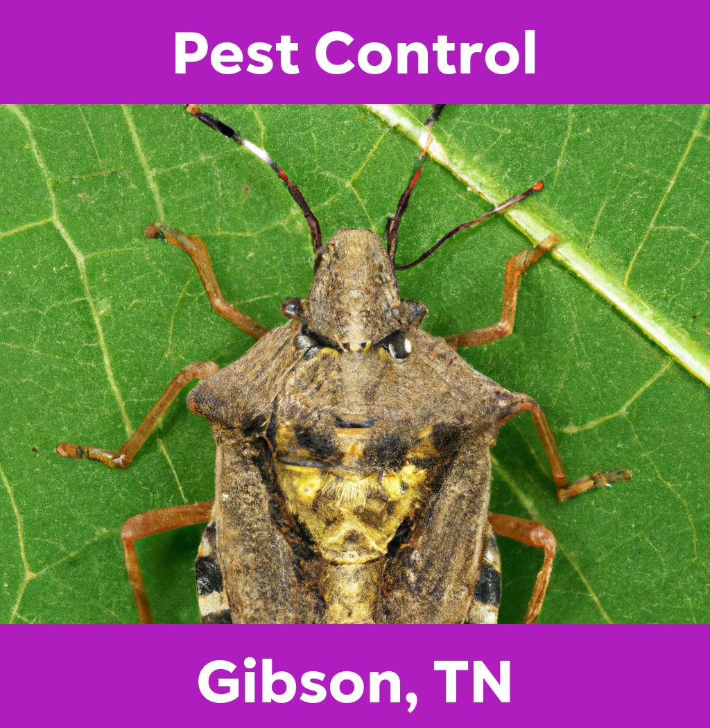 pest control in Gibson Tennessee