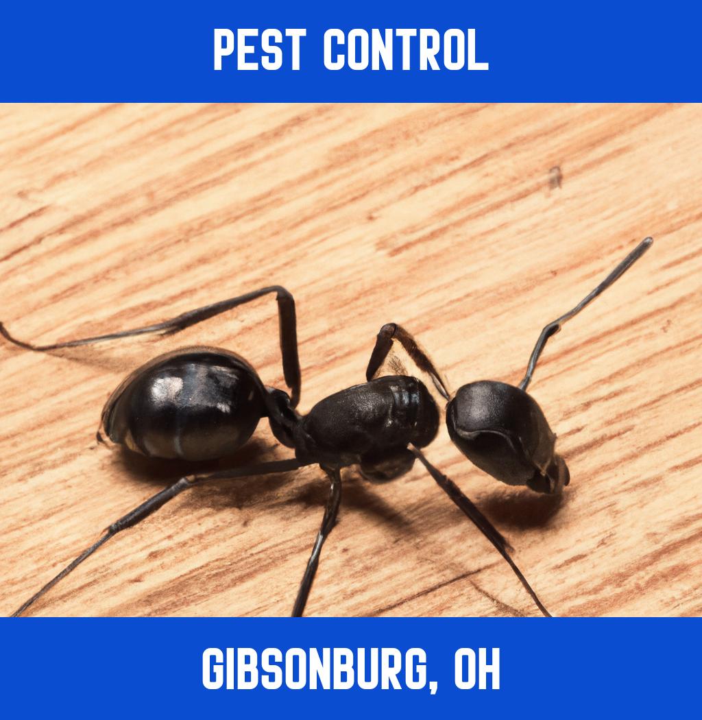 pest control in Gibsonburg Ohio