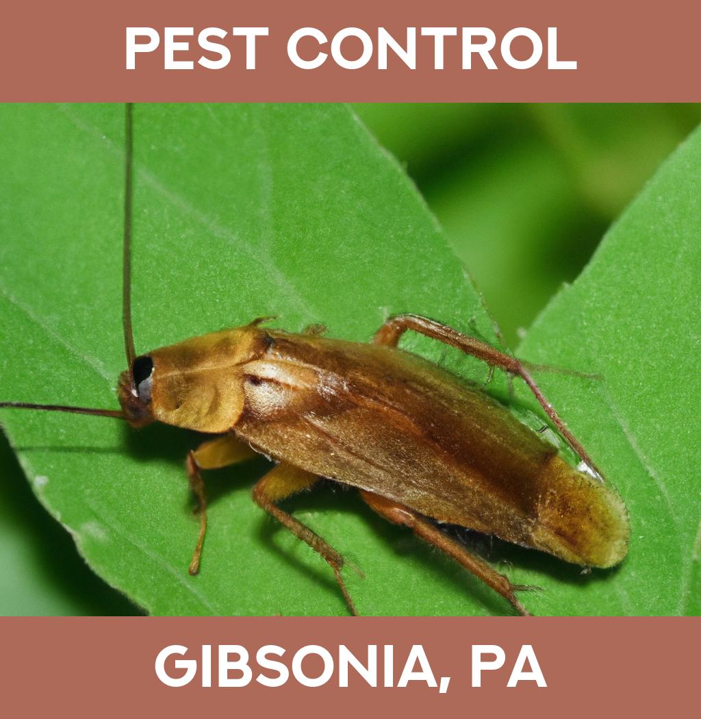 pest control in Gibsonia Pennsylvania