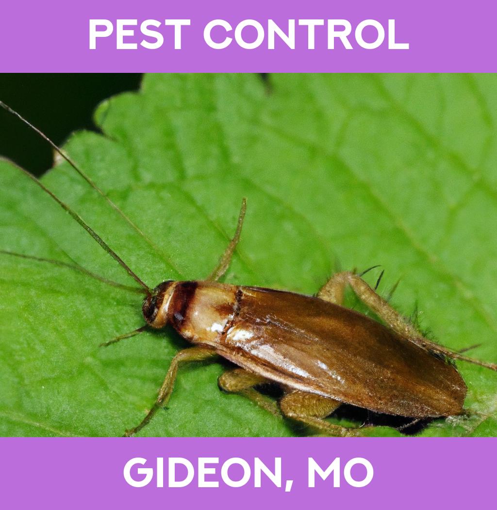 pest control in Gideon Missouri