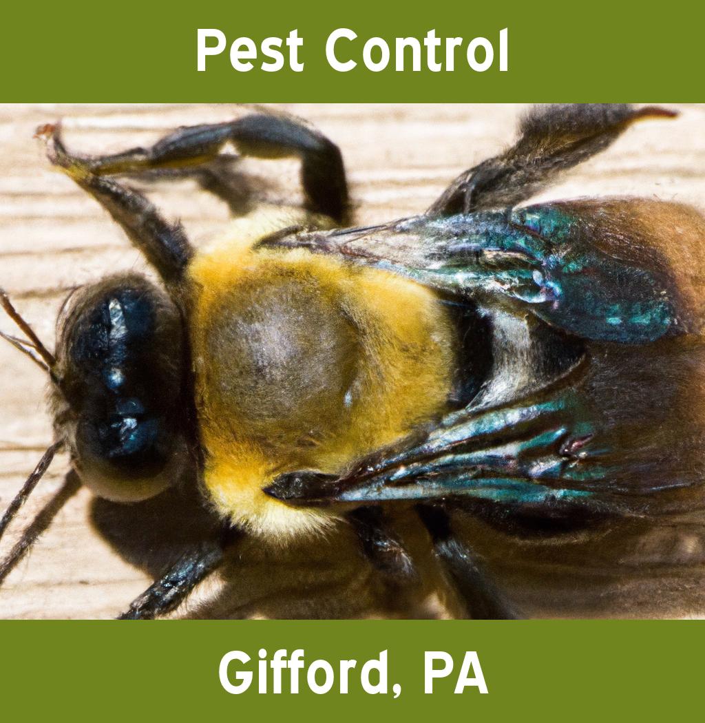 pest control in Gifford Pennsylvania