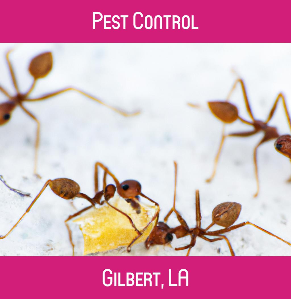pest control in Gilbert Louisiana