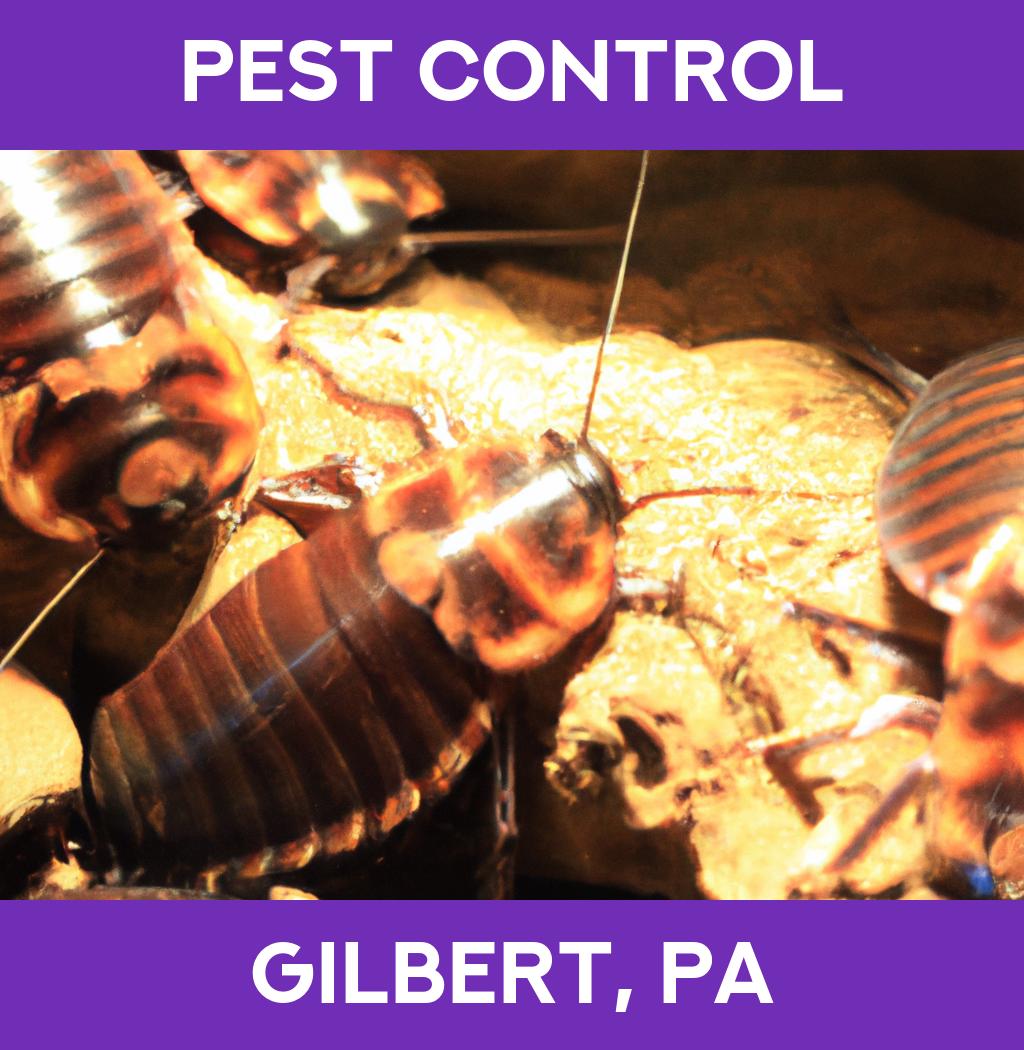 pest control in Gilbert Pennsylvania