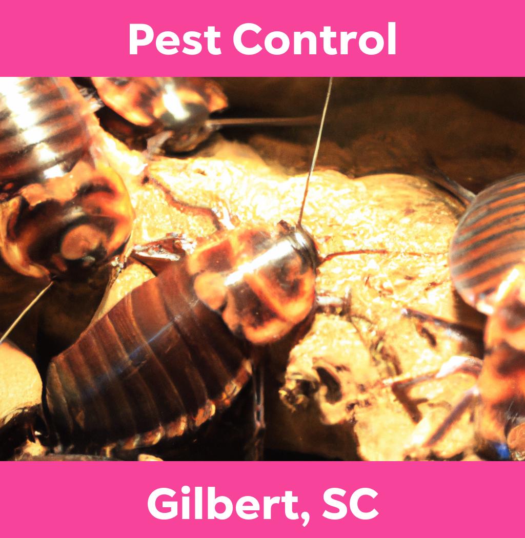 pest control in Gilbert South Carolina