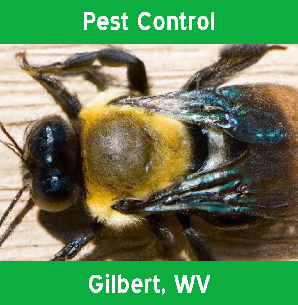 pest control in Gilbert West Virginia