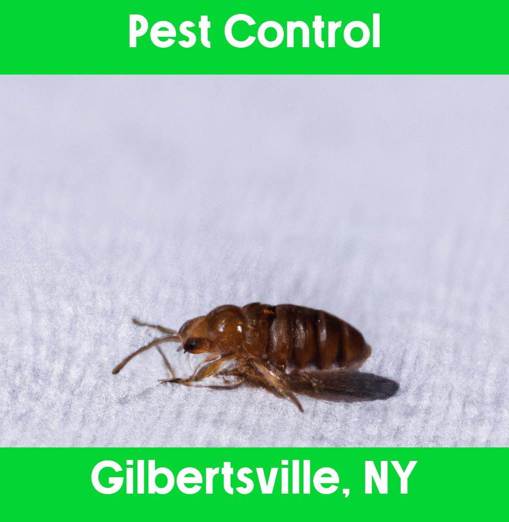 pest control in Gilbertsville New York