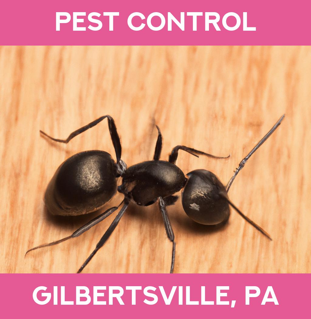 pest control in Gilbertsville Pennsylvania