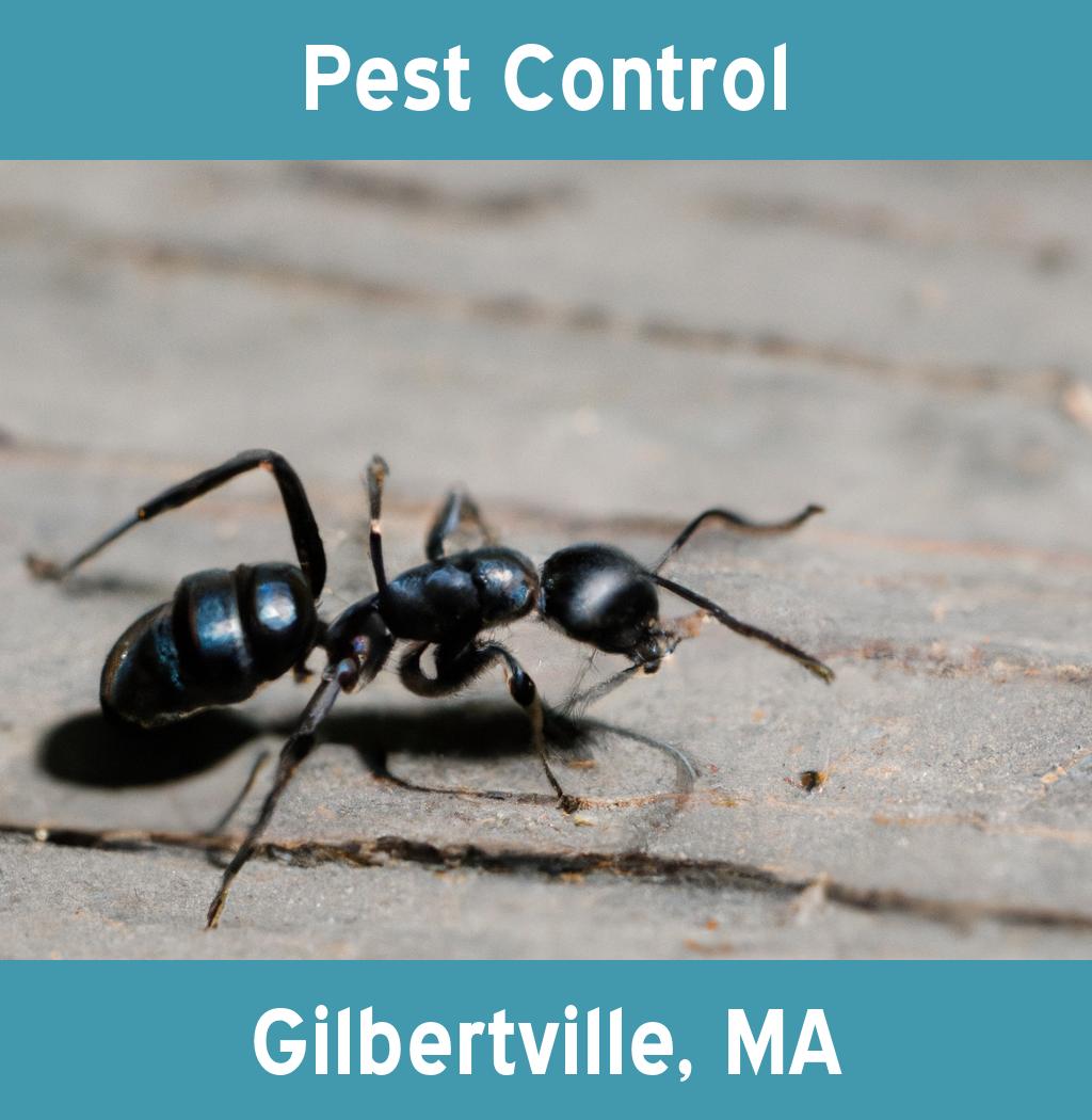pest control in Gilbertville Massachusetts