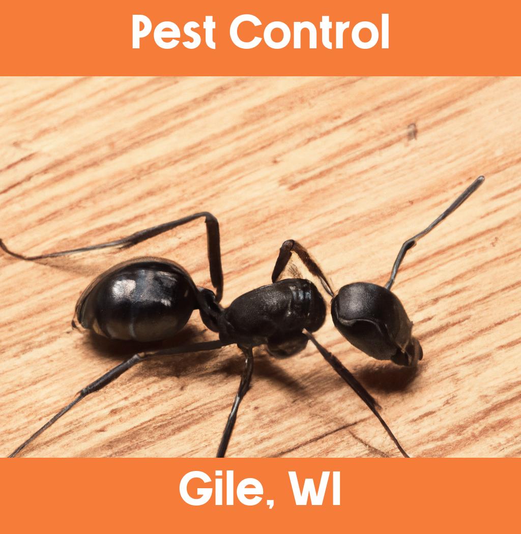 pest control in Gile Wisconsin