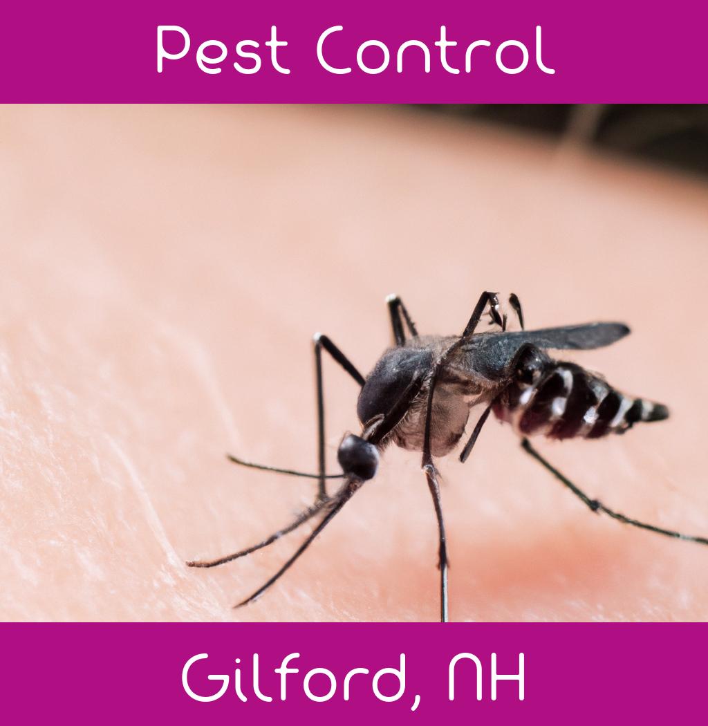 pest control in Gilford New Hampshire