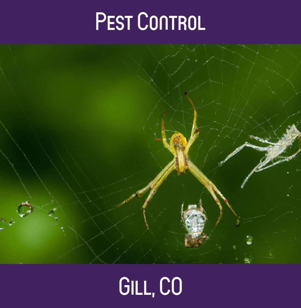 pest control in Gill Colorado