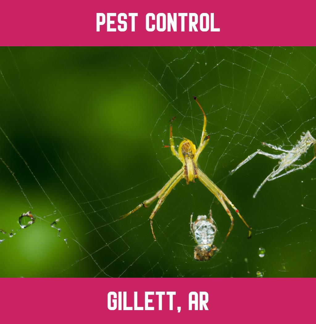 pest control in Gillett Arkansas