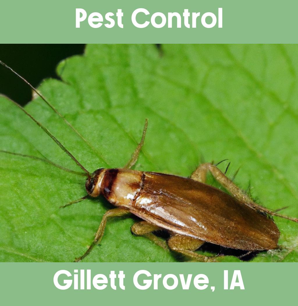 pest control in Gillett Grove Iowa