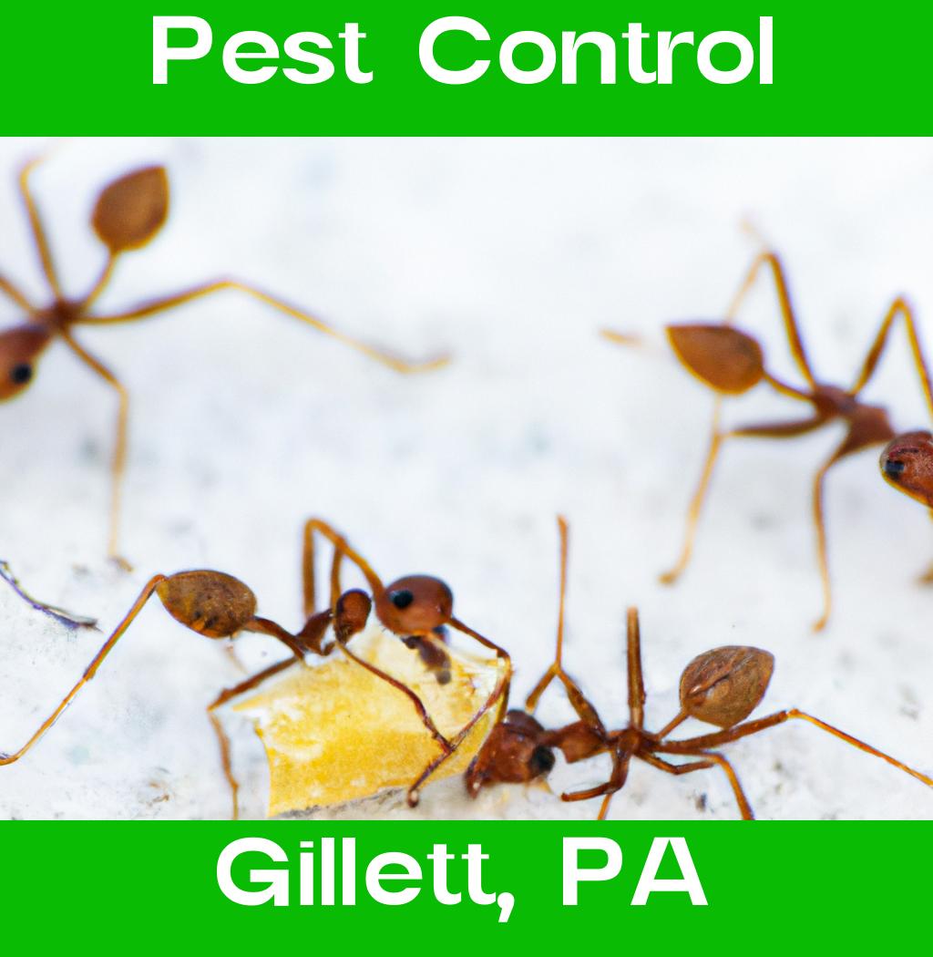 pest control in Gillett Pennsylvania