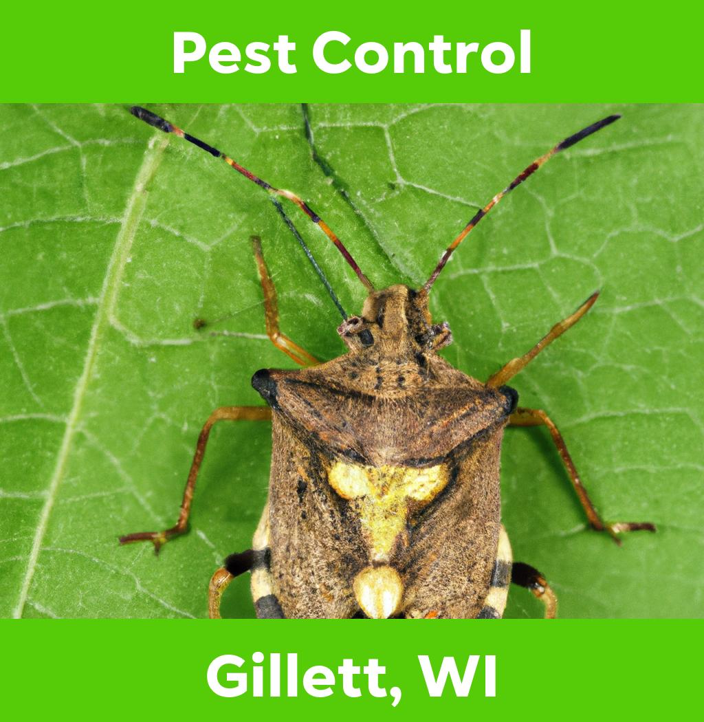 pest control in Gillett Wisconsin