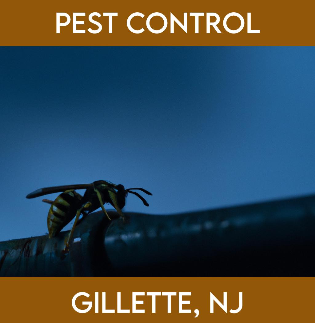 pest control in Gillette New Jersey