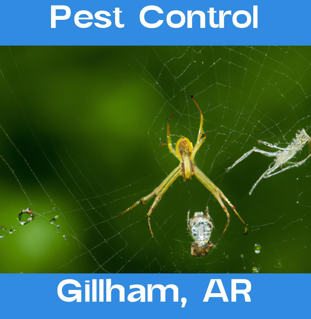 pest control in Gillham Arkansas
