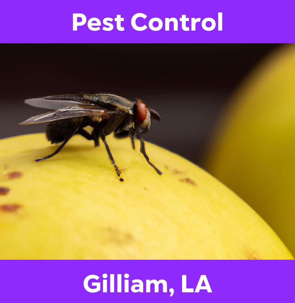 pest control in Gilliam Louisiana