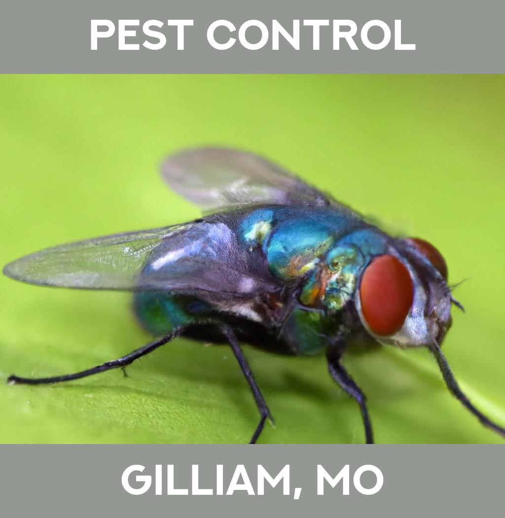 pest control in Gilliam Missouri