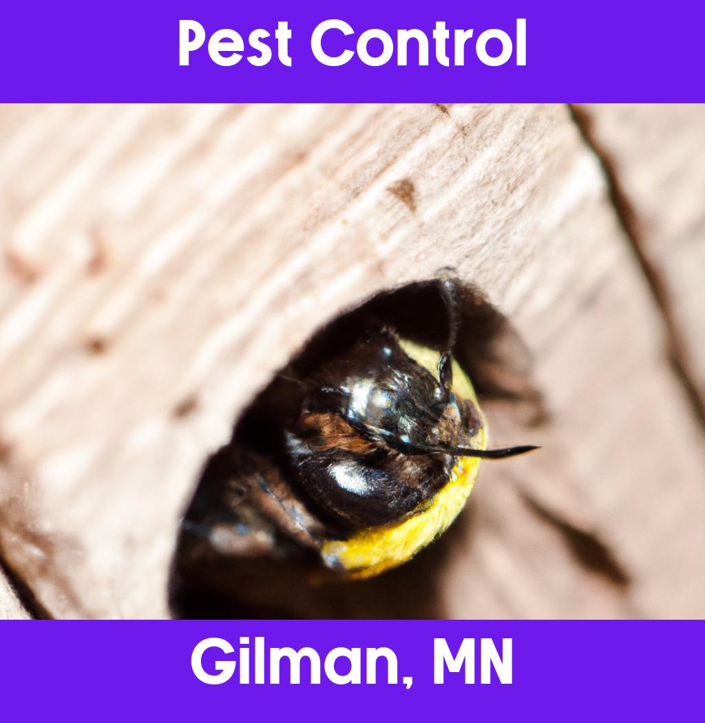 pest control in Gilman Minnesota