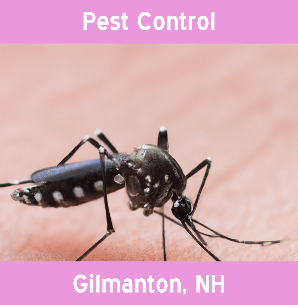 pest control in Gilmanton New Hampshire
