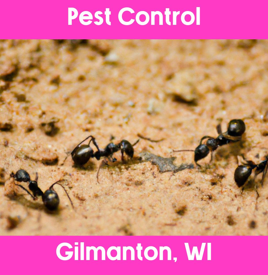 pest control in Gilmanton Wisconsin