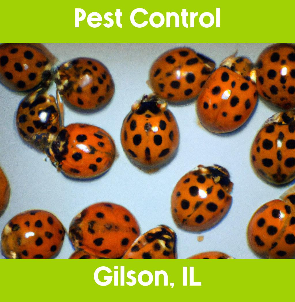 pest control in Gilson Illinois