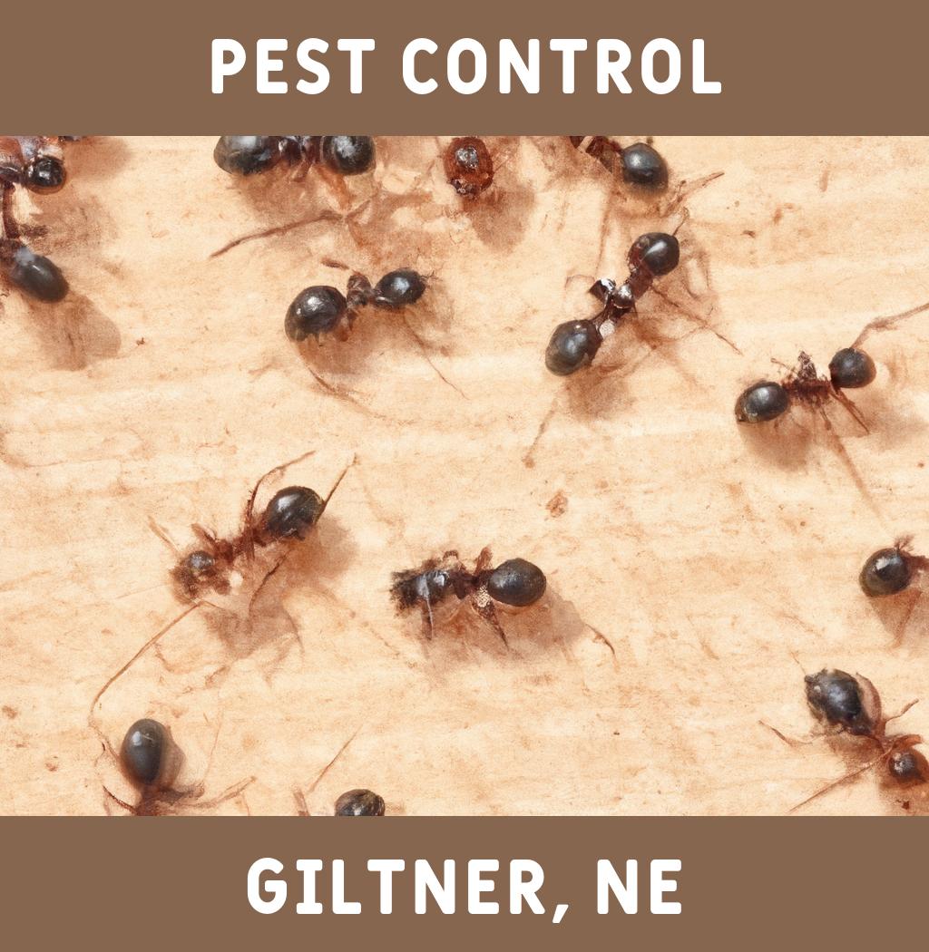 pest control in Giltner Nebraska