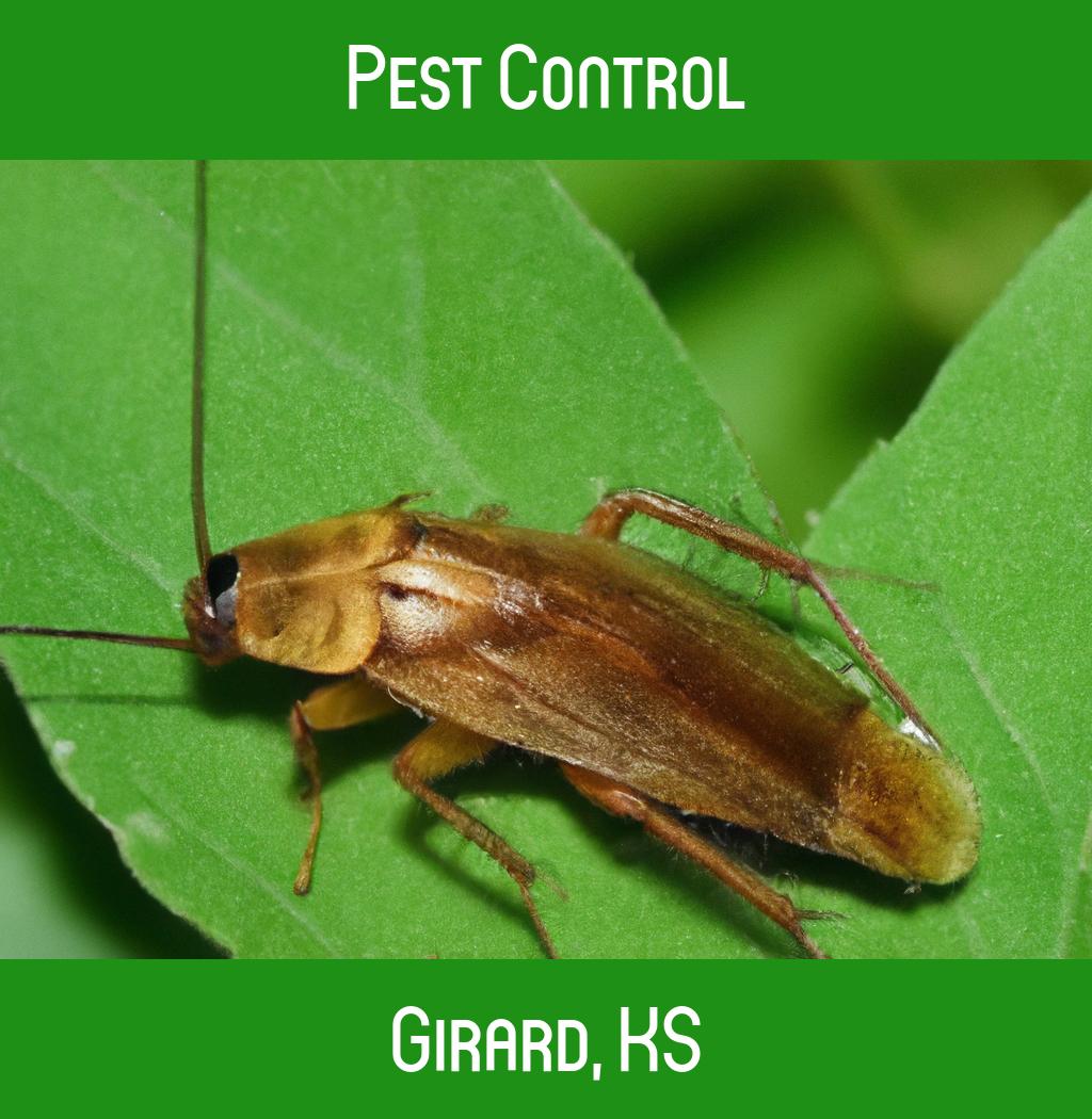pest control in Girard Kansas