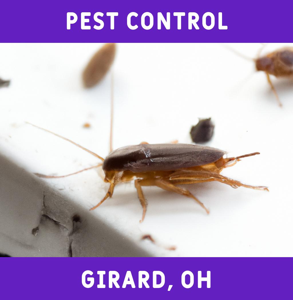 pest control in Girard Ohio