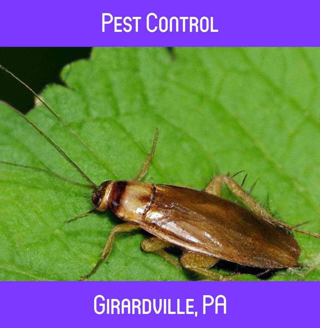 pest control in Girardville Pennsylvania