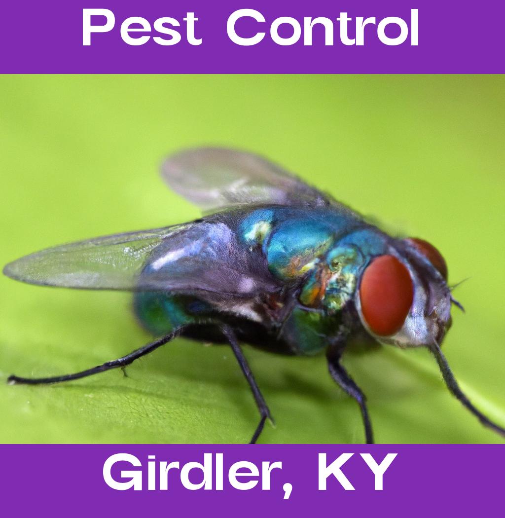 pest control in Girdler Kentucky