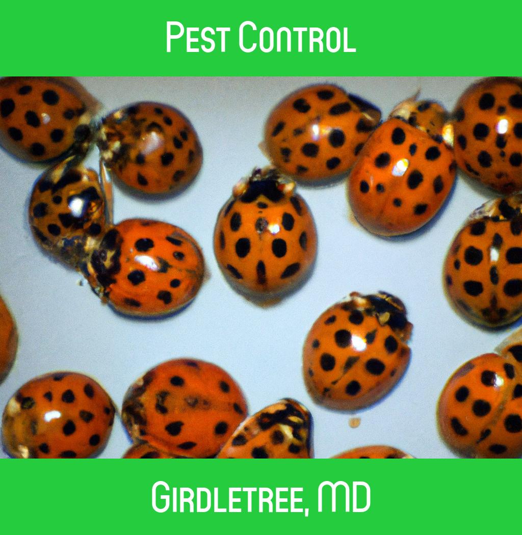 pest control in Girdletree Maryland