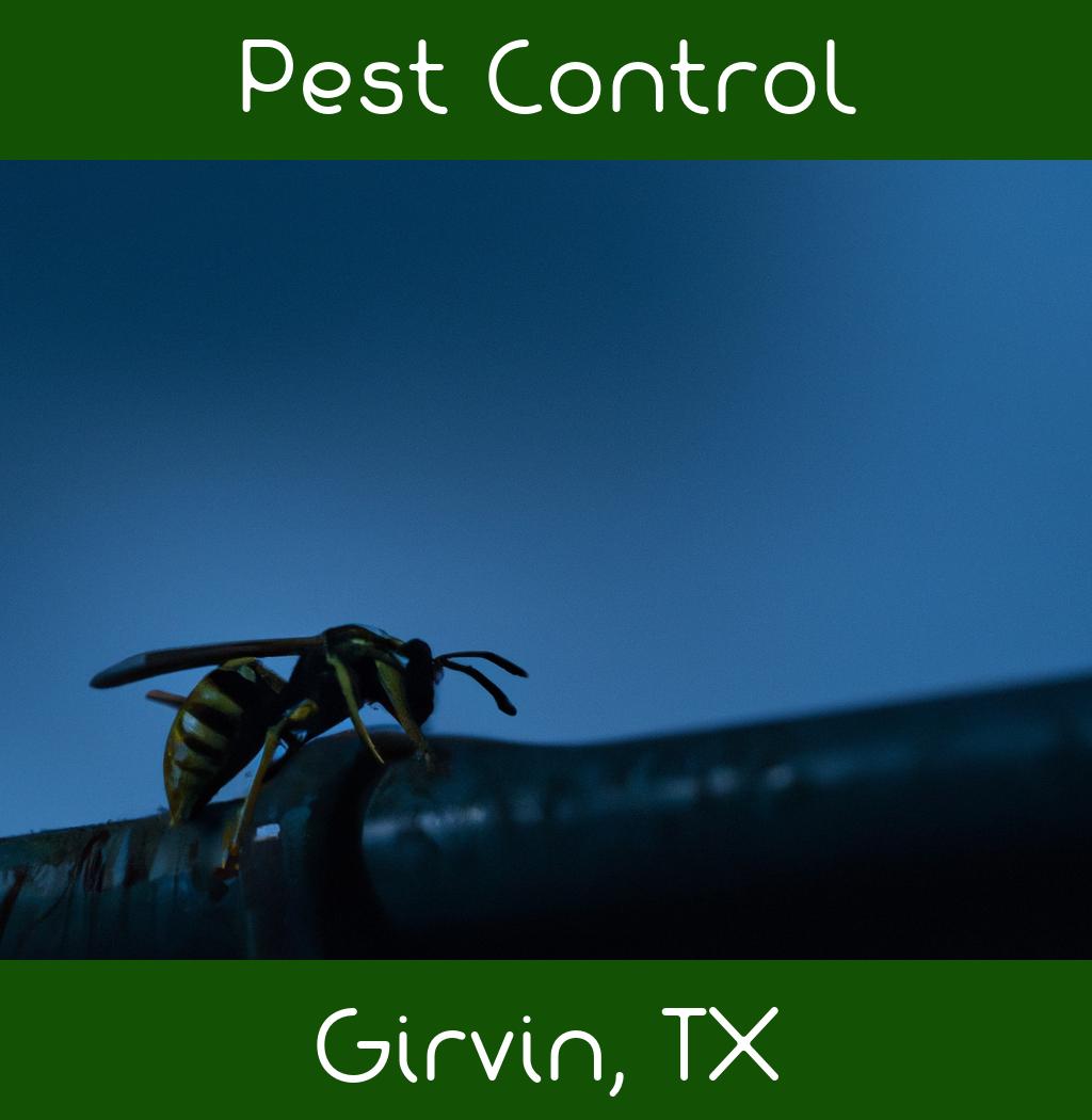 pest control in Girvin Texas