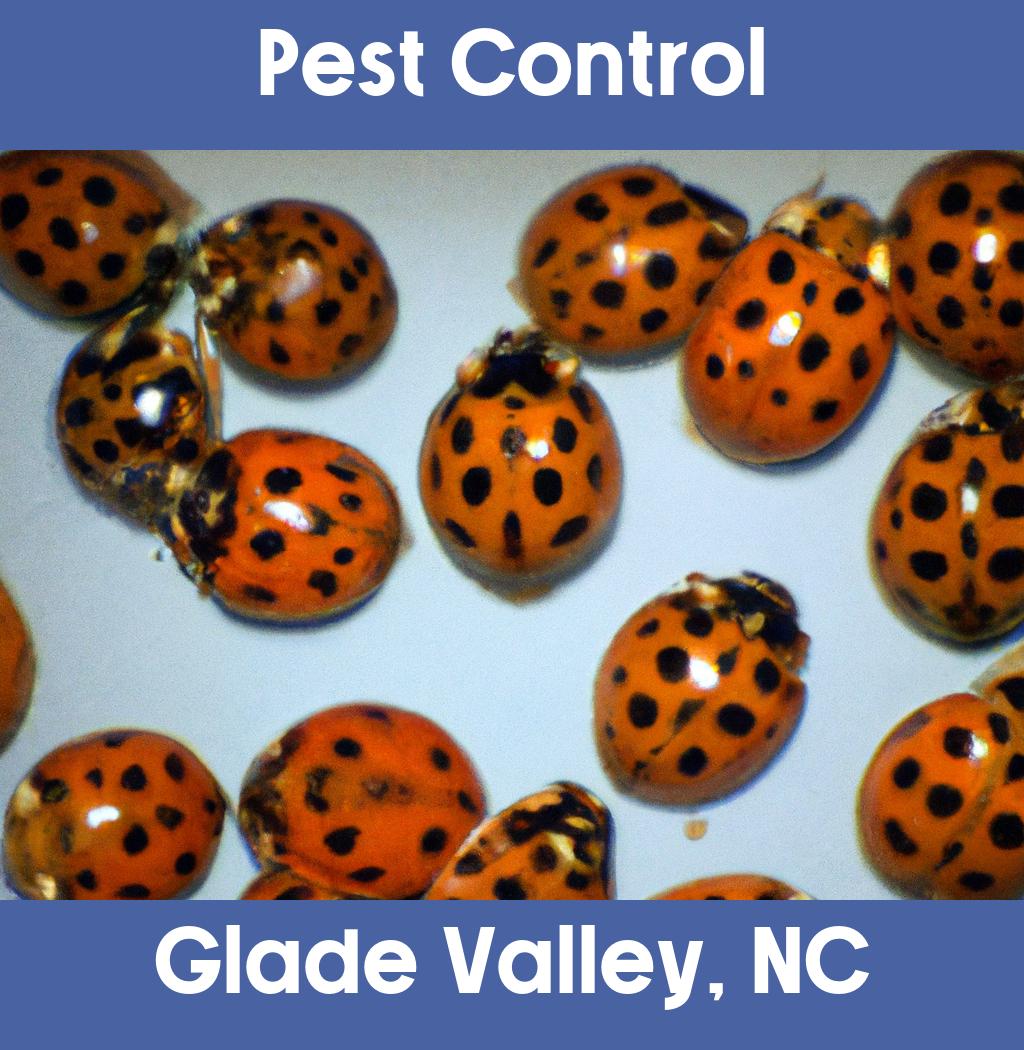 pest control in Glade Valley North Carolina