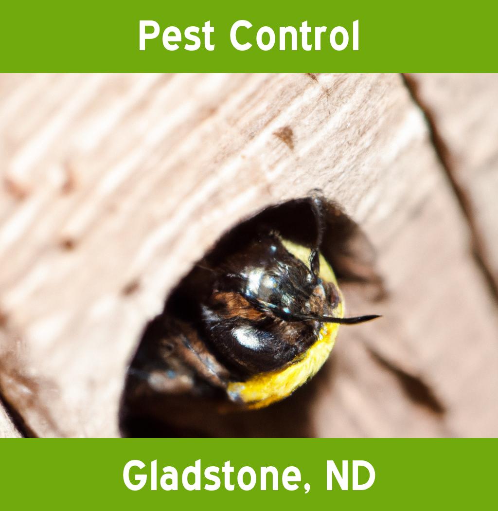 pest control in Gladstone North Dakota