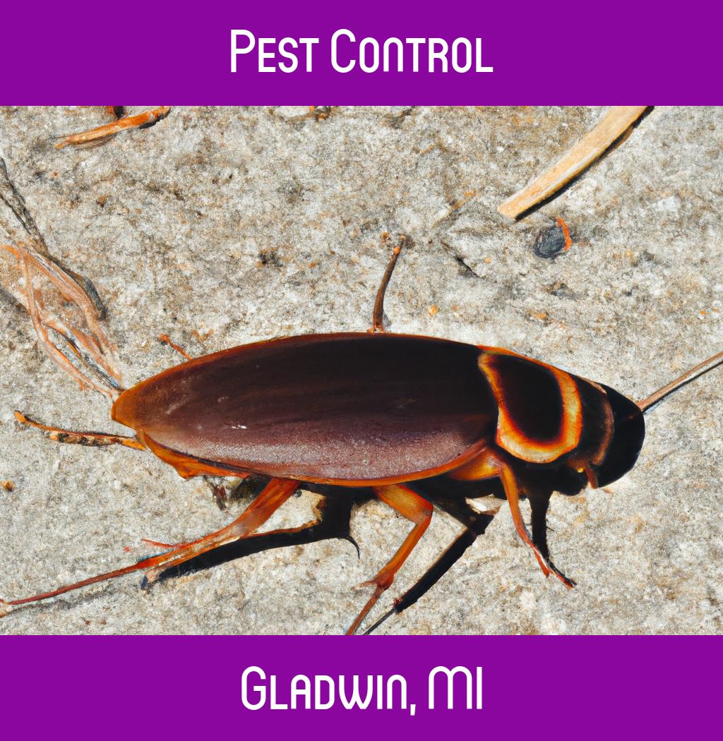 pest control in Gladwin Michigan