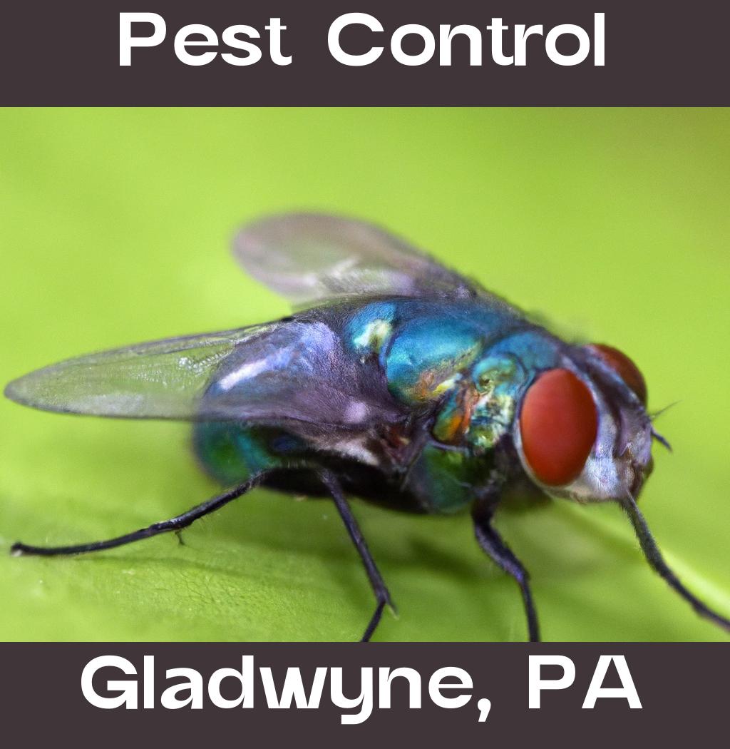 pest control in Gladwyne Pennsylvania