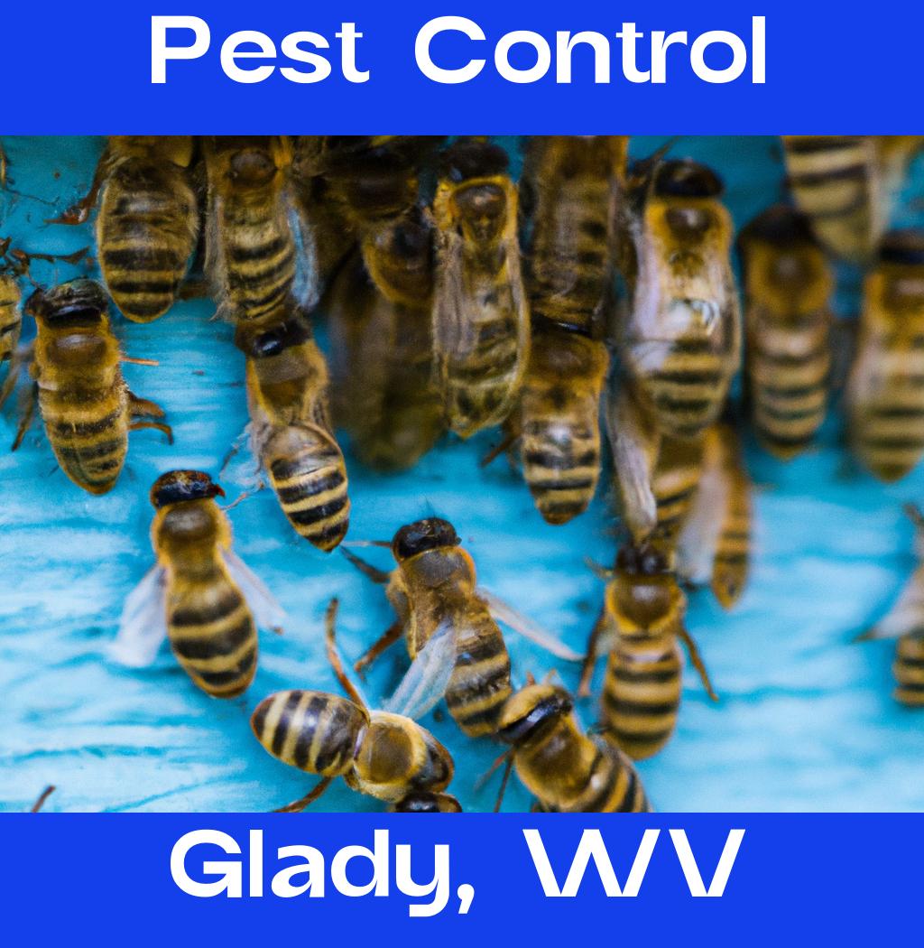 pest control in Glady West Virginia