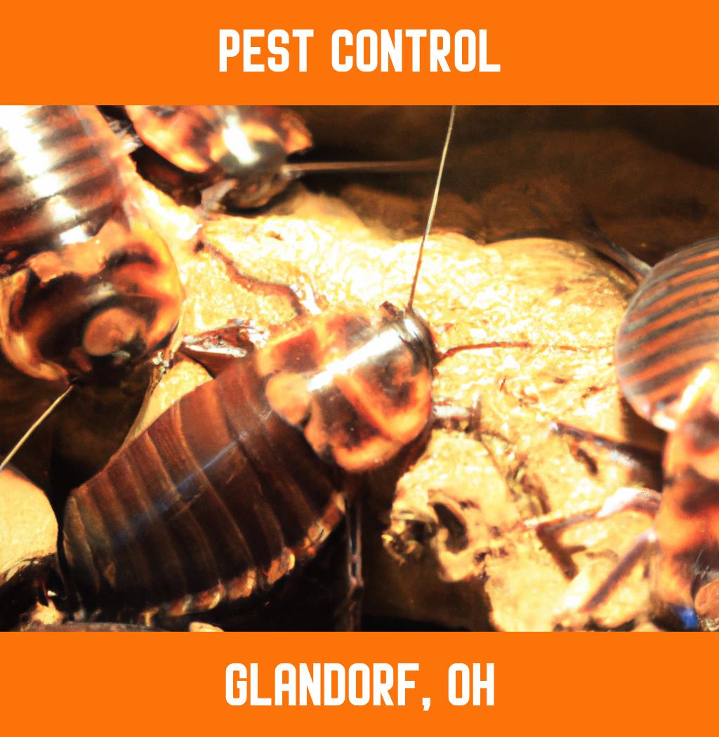 pest control in Glandorf Ohio