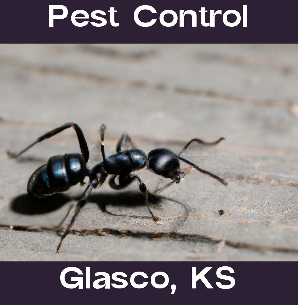 pest control in Glasco Kansas
