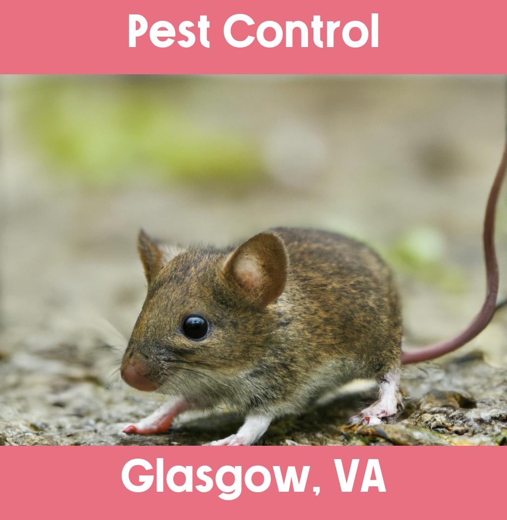 pest control in Glasgow Virginia