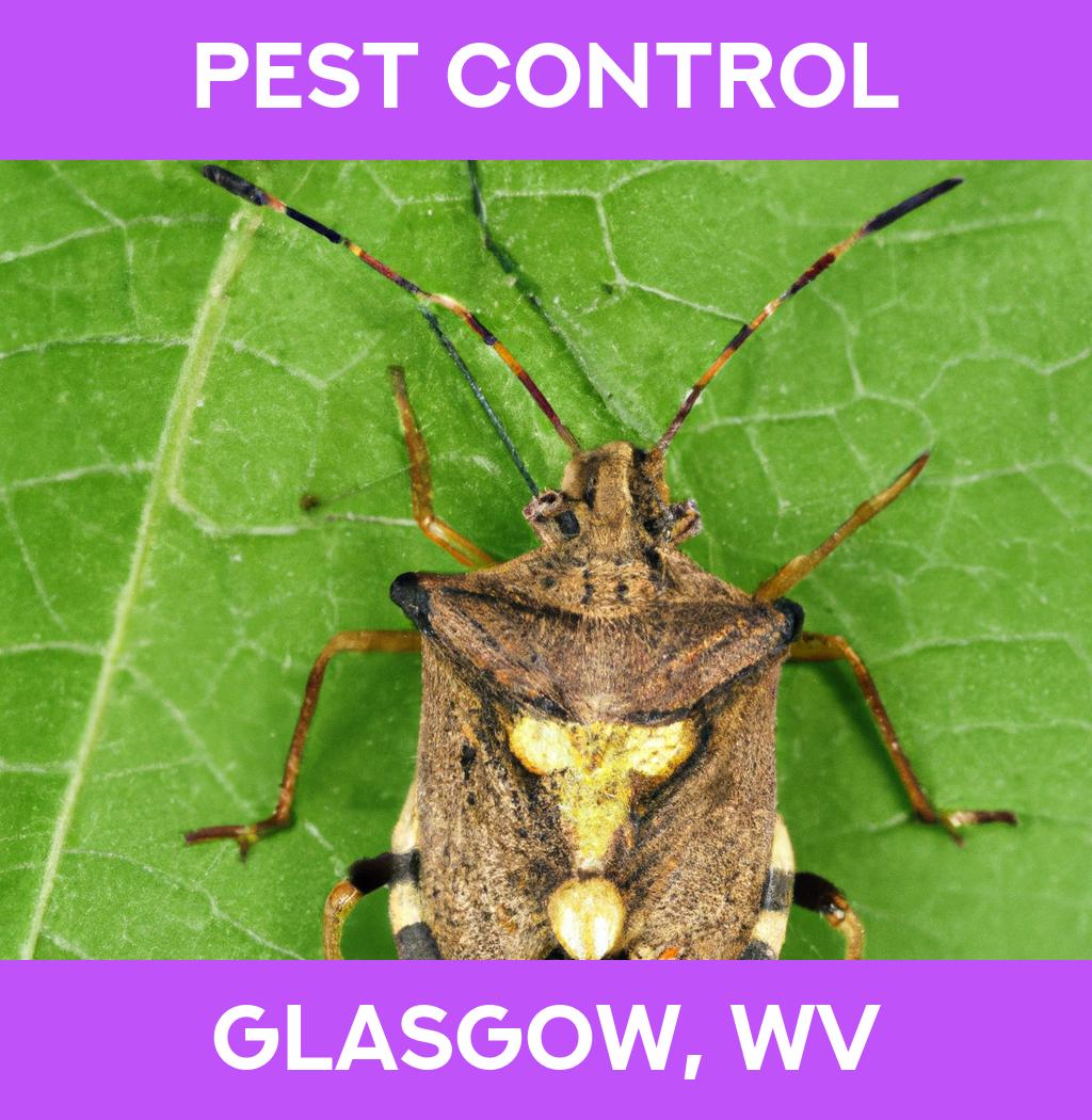 pest control in Glasgow West Virginia