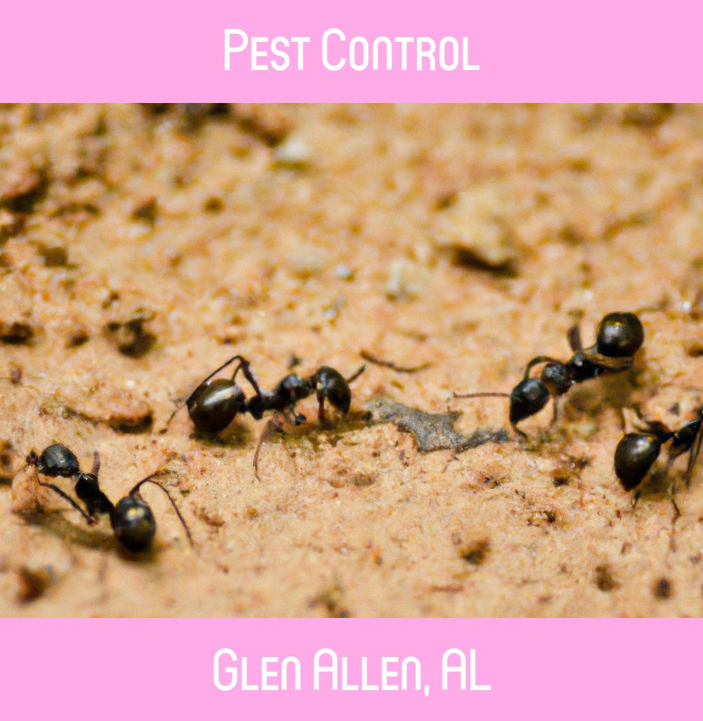 pest control in Glen Allen Alabama