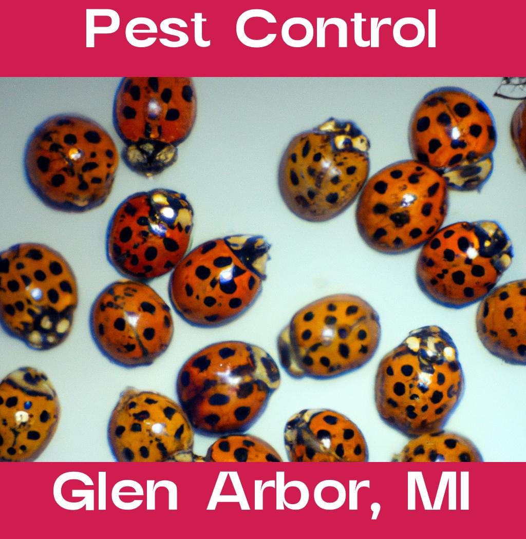 pest control in Glen Arbor Michigan