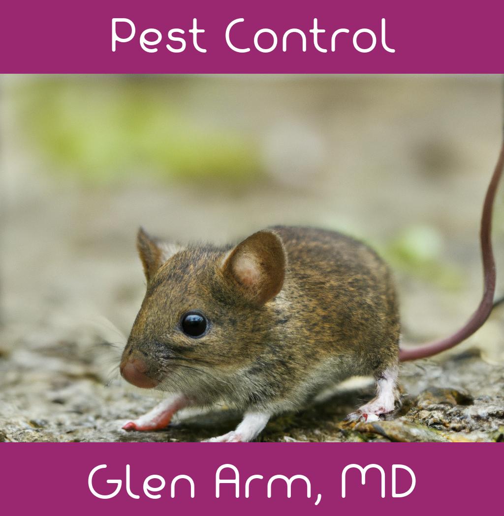 pest control in Glen Arm Maryland