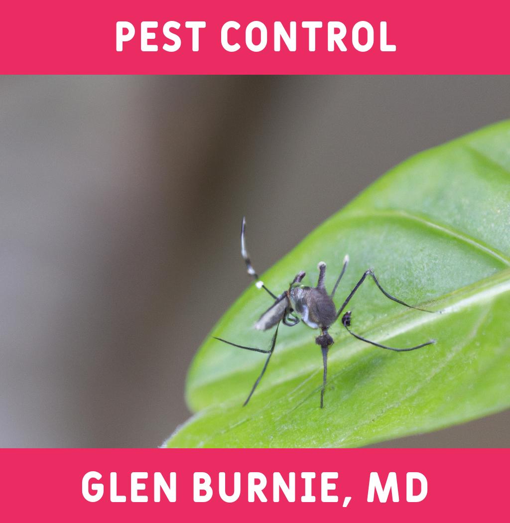 pest control in Glen Burnie Maryland